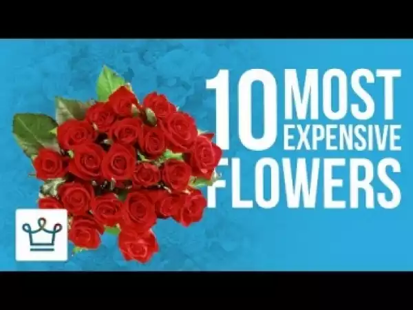 Video: Top 10 Most Expensive Flowers In The World